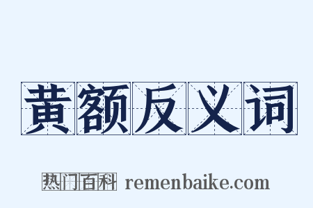 黄额反义词是什么意思的图片